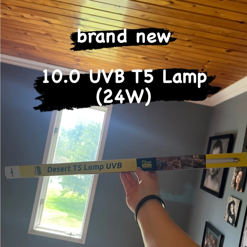 ReptiZoo brand new